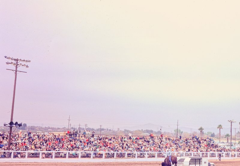 Tucson Rodeo