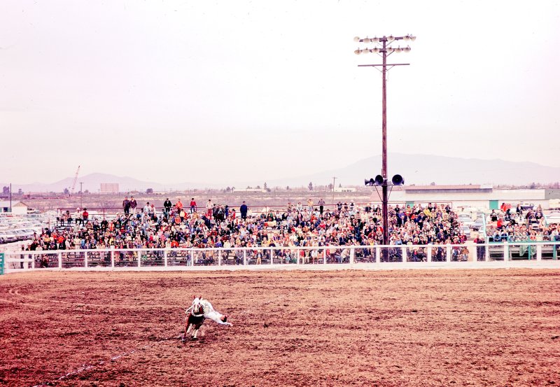Tucson Rodeo