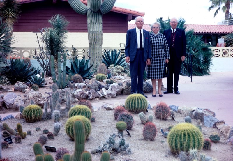 Tuscon Landscaping