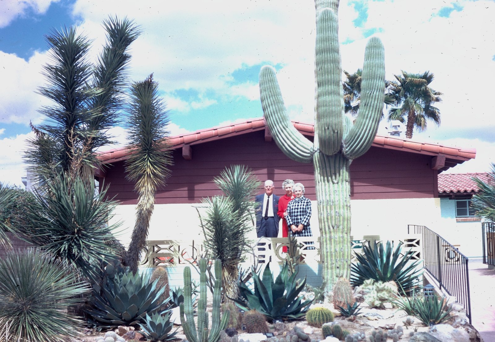 Tuscon Landscaping