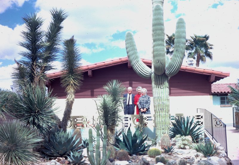 Tuscon Landscaping