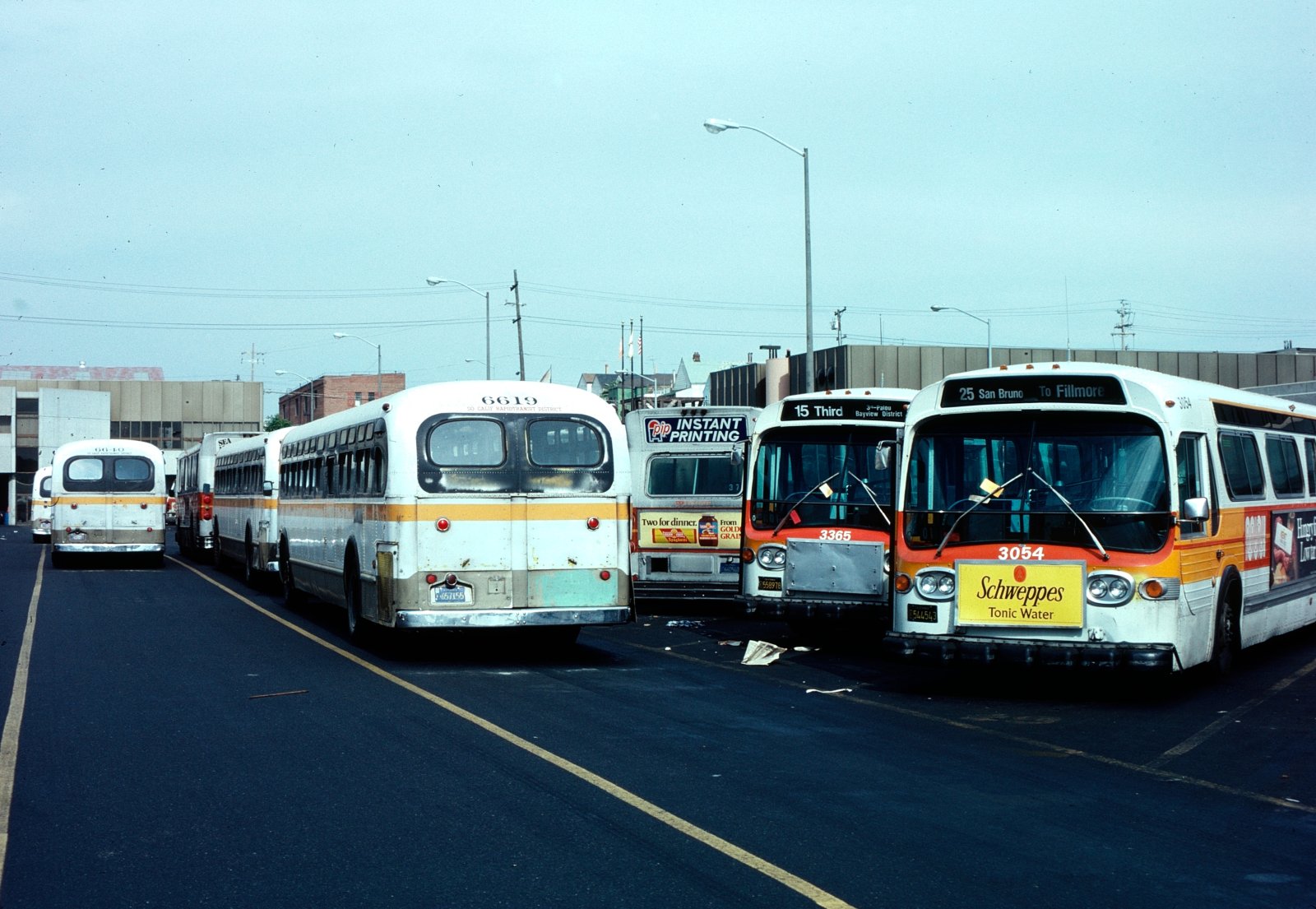 The Bus Lineup