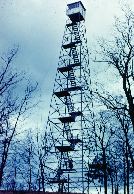 The Fire Tower