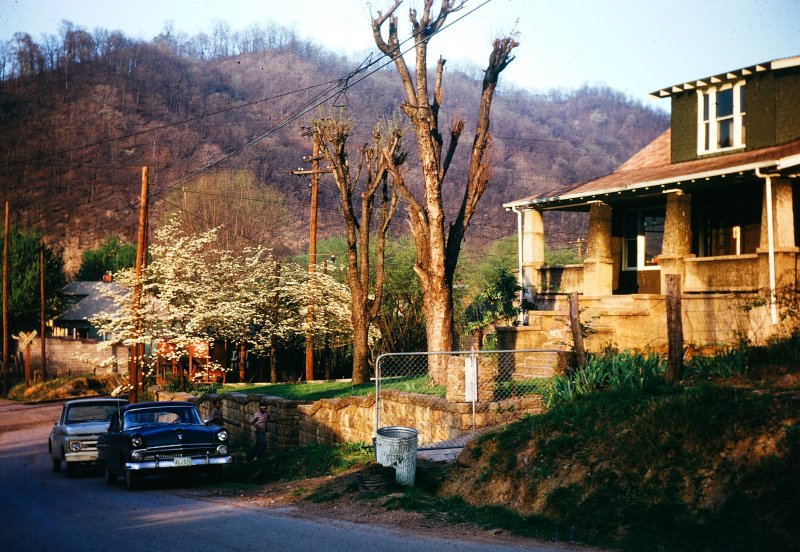 The Board House