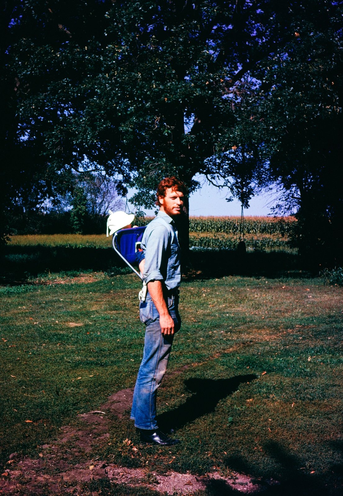 Father, Baby, Cornfield