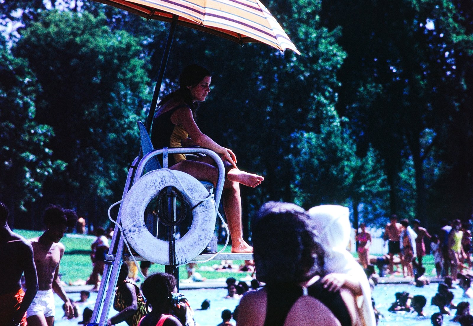 The Lifeguard