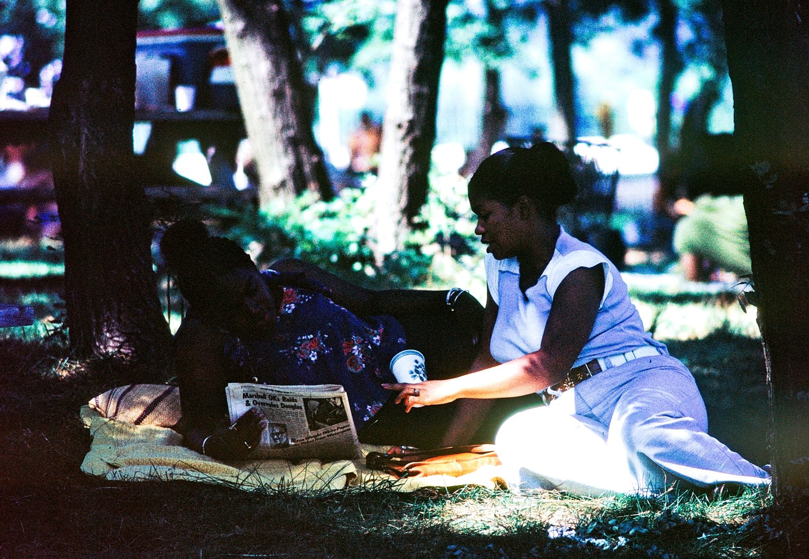 Picnic in the Shade