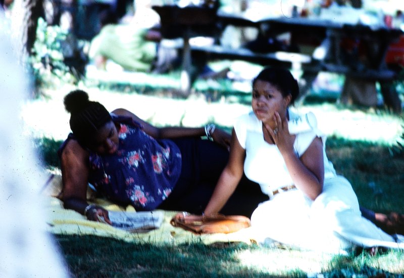At the Picnic Grounds
