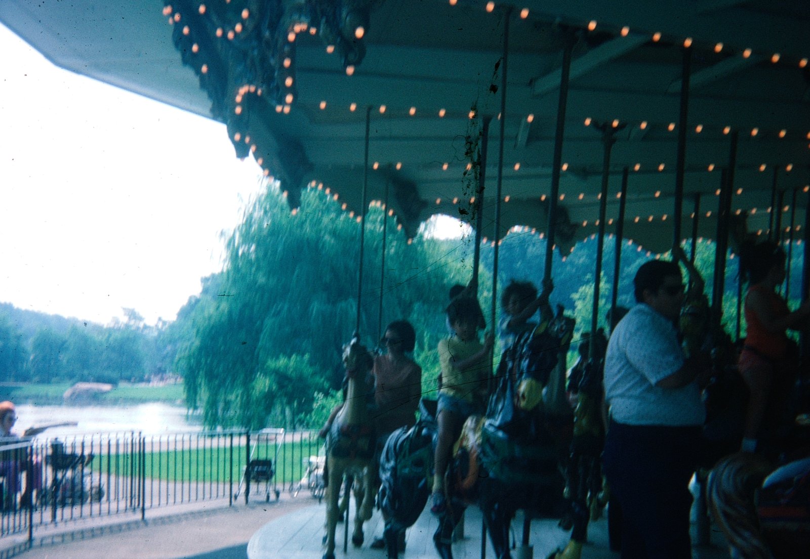The Carousel