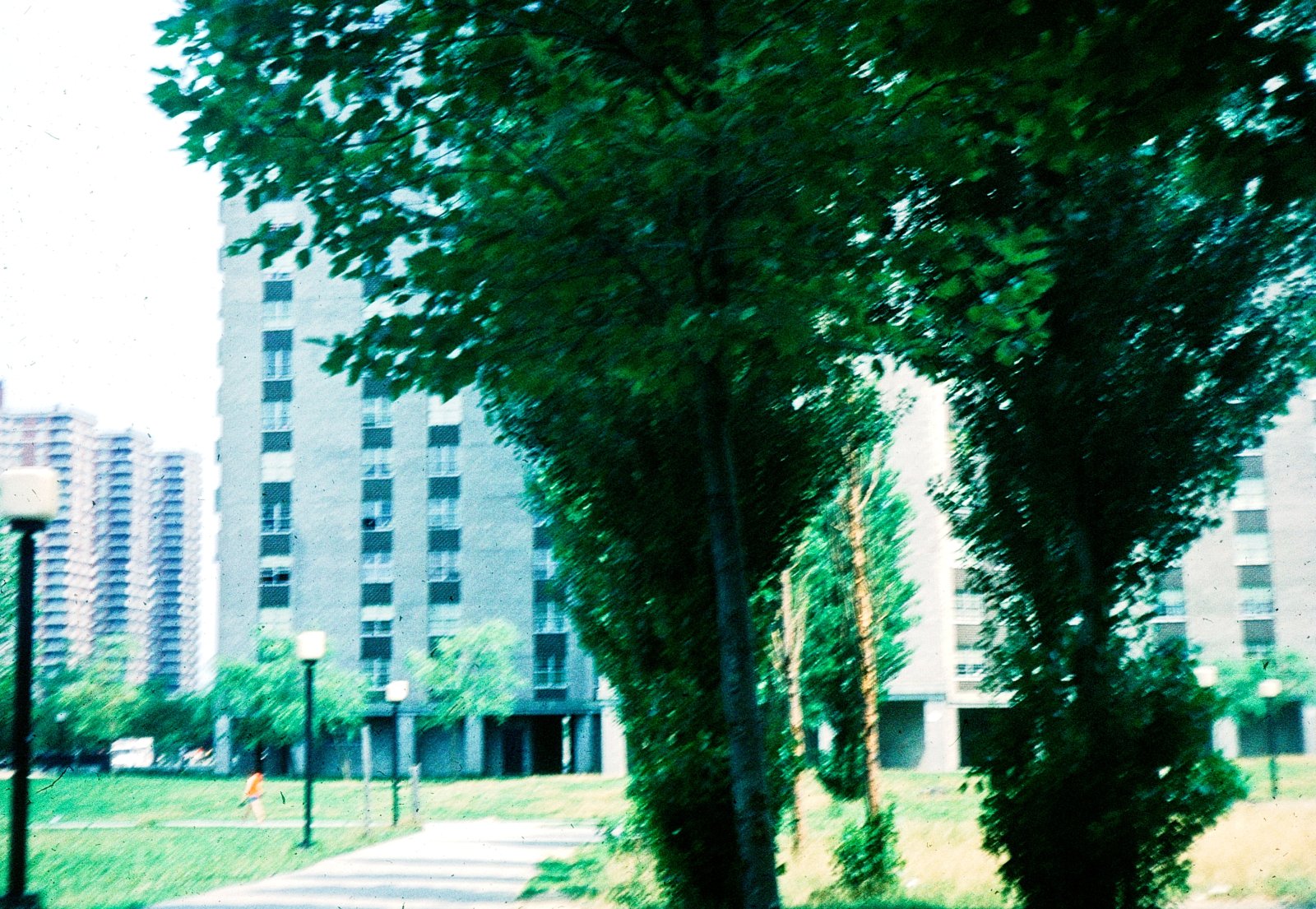 Between the Towers