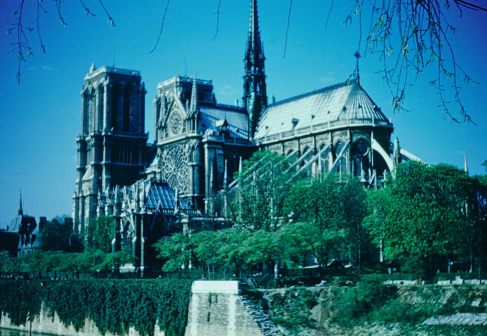 Notre-Dame from the Seine