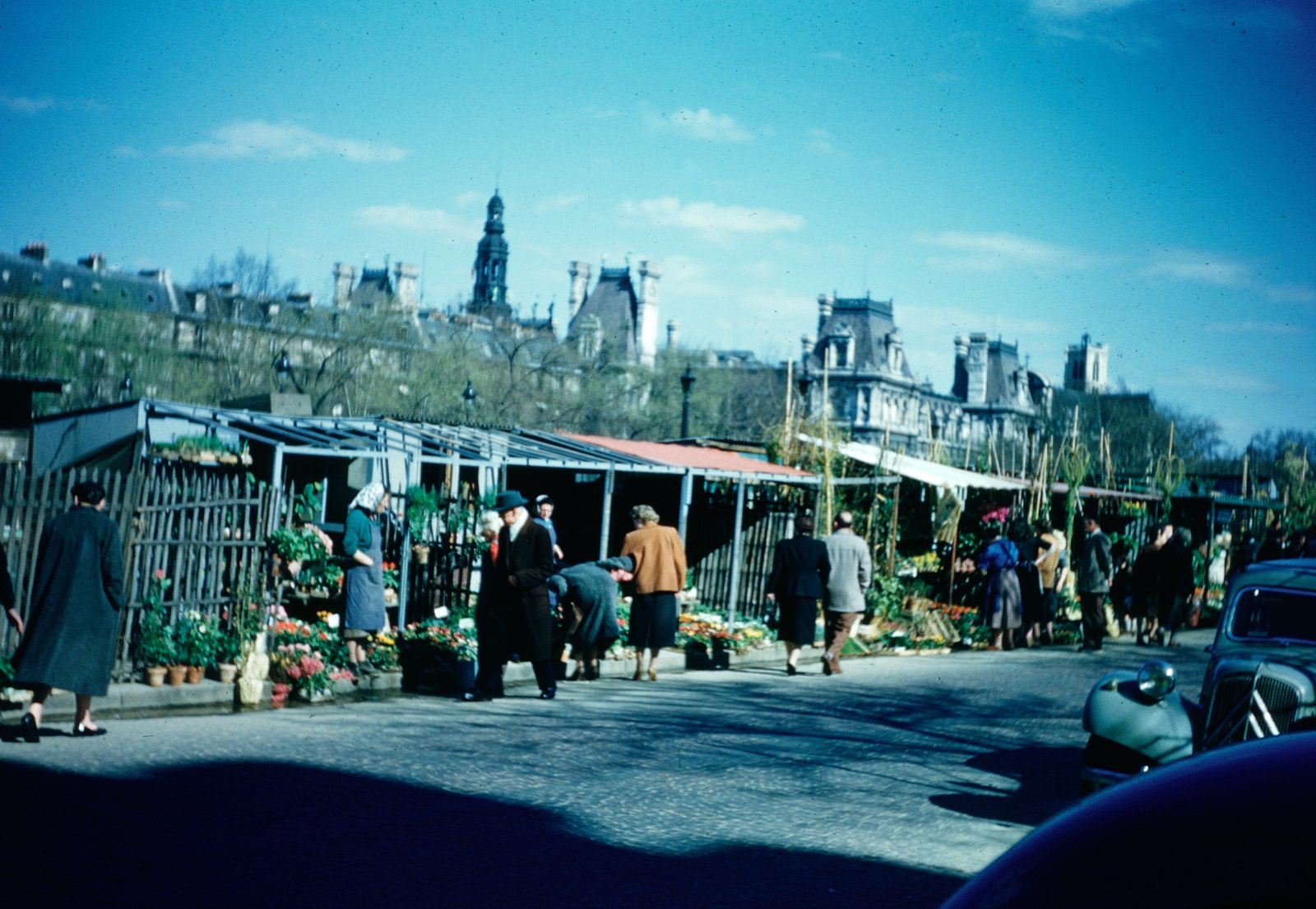The Flower Market