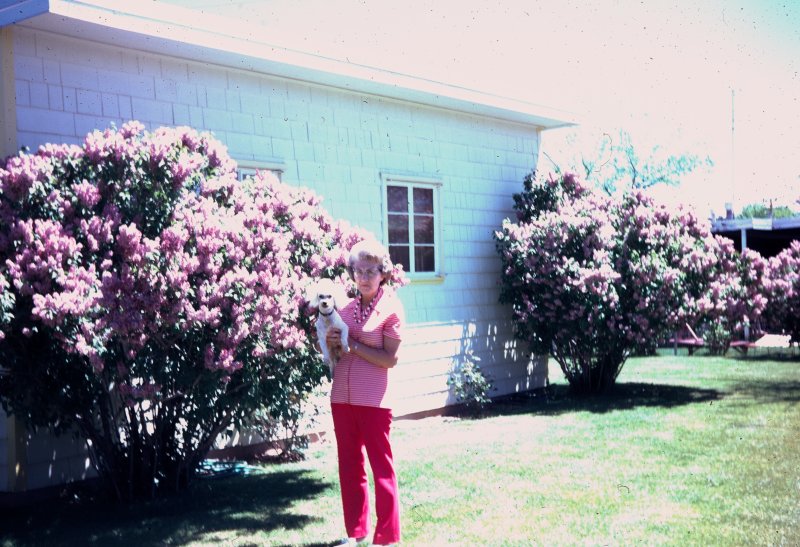 Grandmother and the Poodle