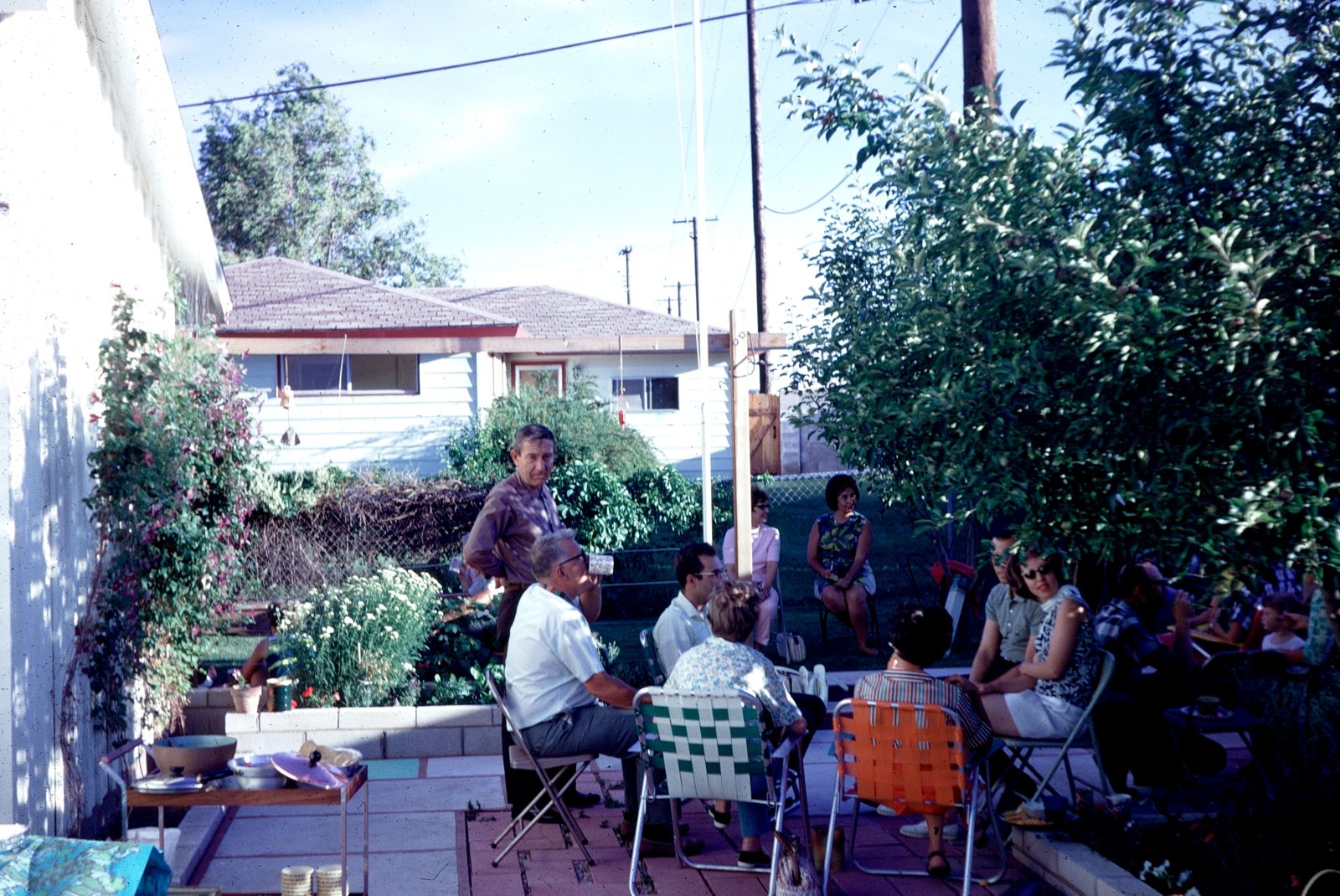 Backyard Gathering