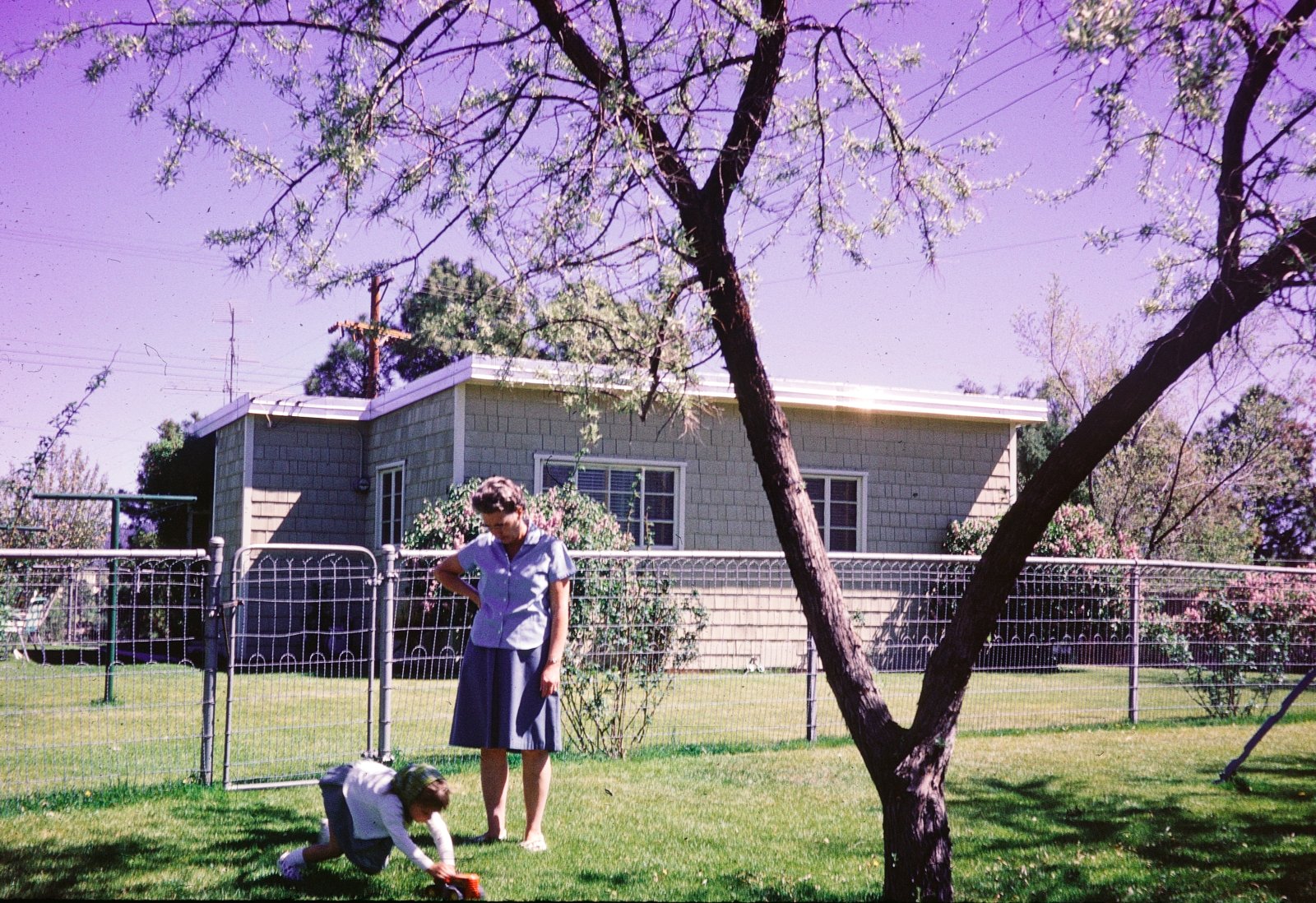 In the Yard
