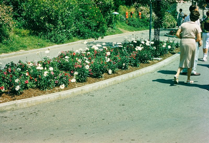 A Fantasyland Path