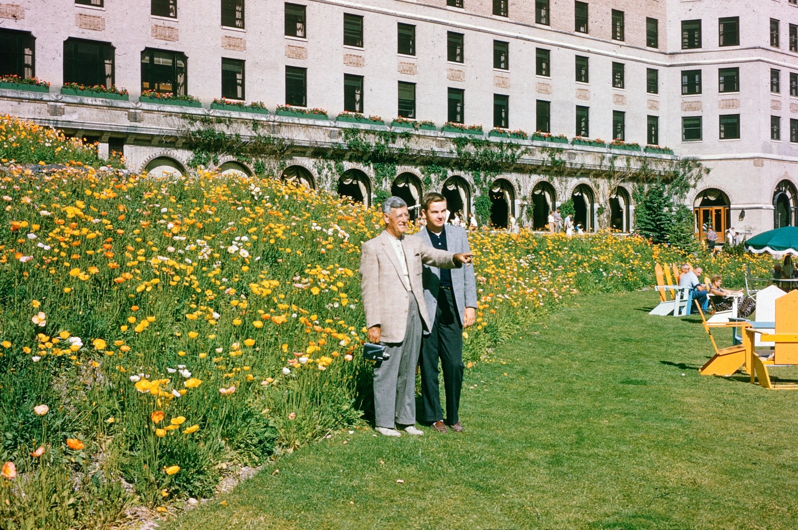 In the Poppy Gardens