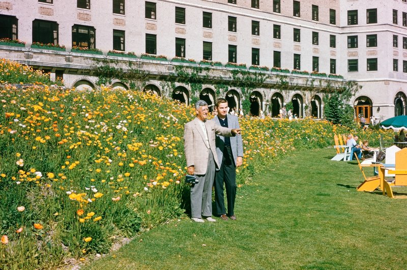 In the Poppy Gardens