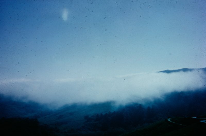 Fog over the Coastal Hills