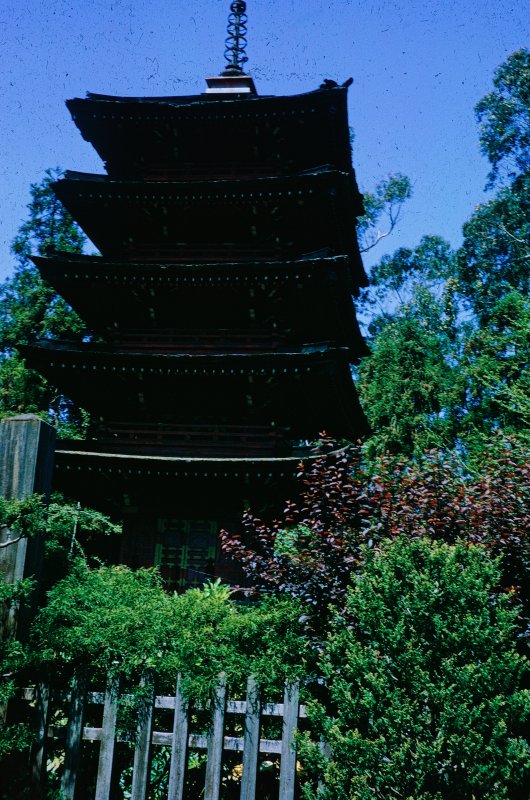 The Pagoda