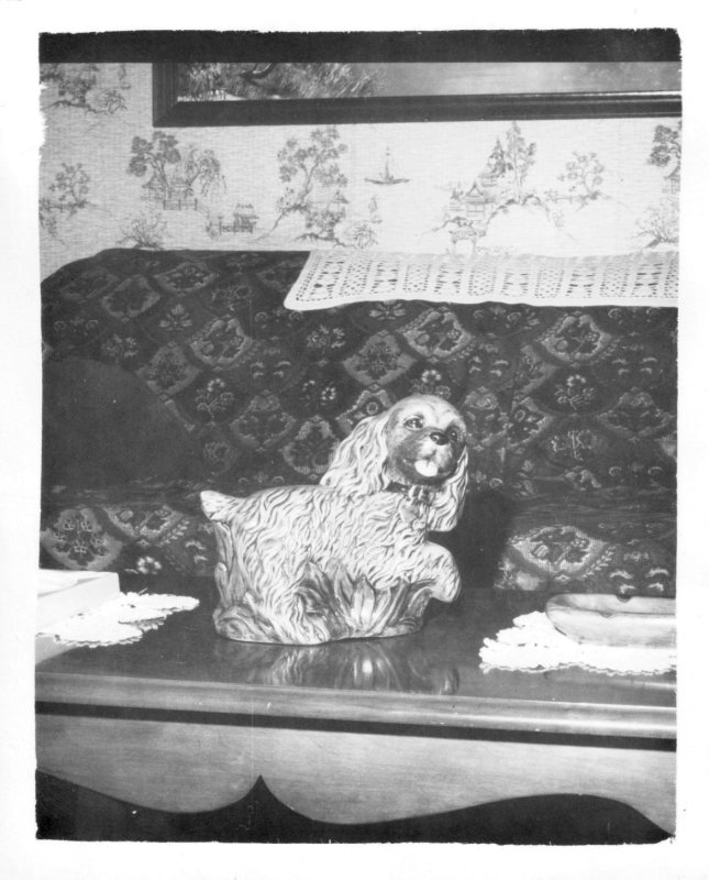 The China Spaniel