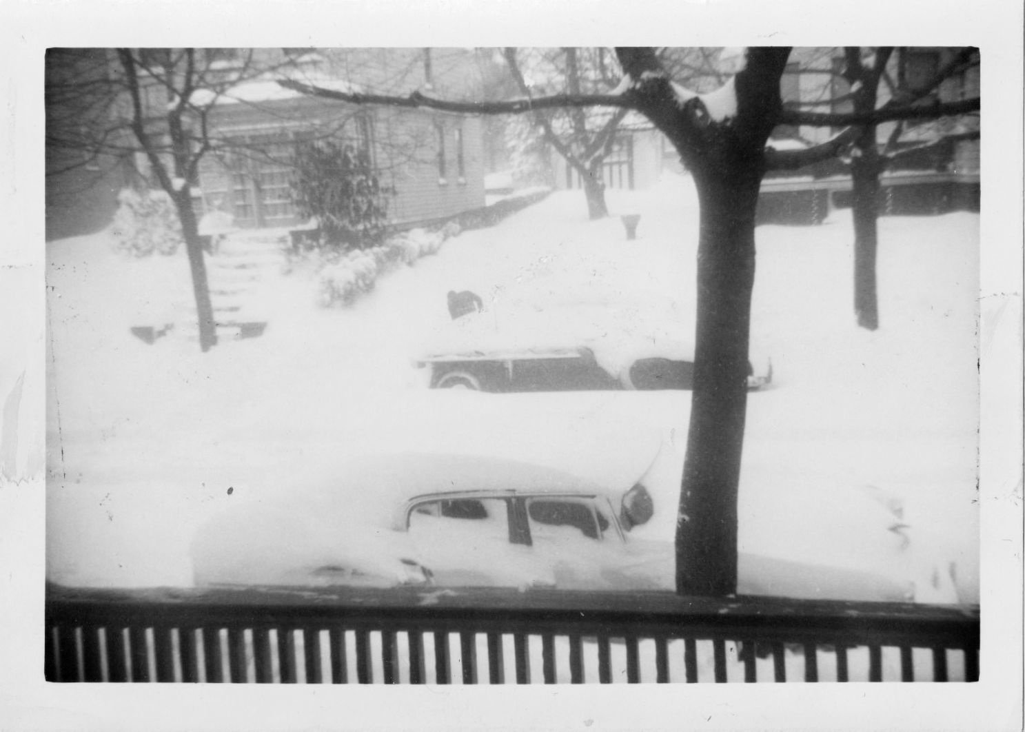 After the Blizzard