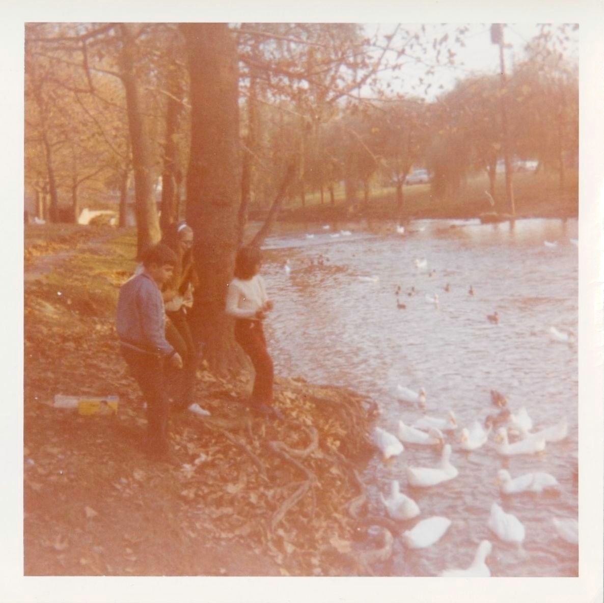 Feeding the Ducks in Autumn