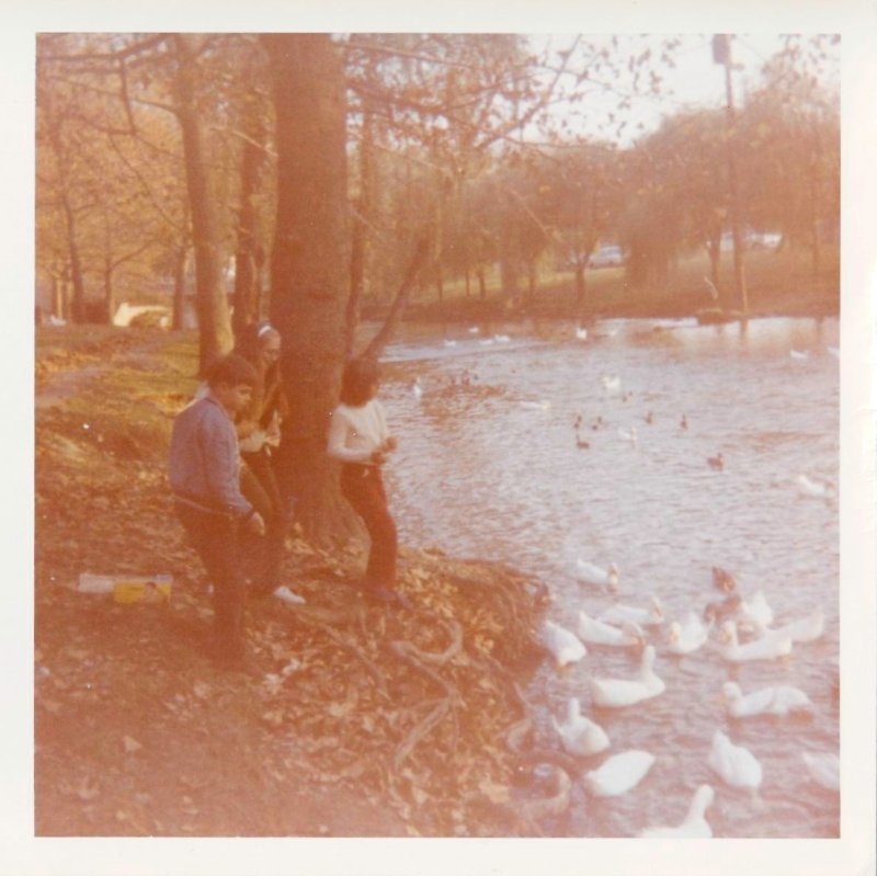 Feeding the Ducks in Autumn
