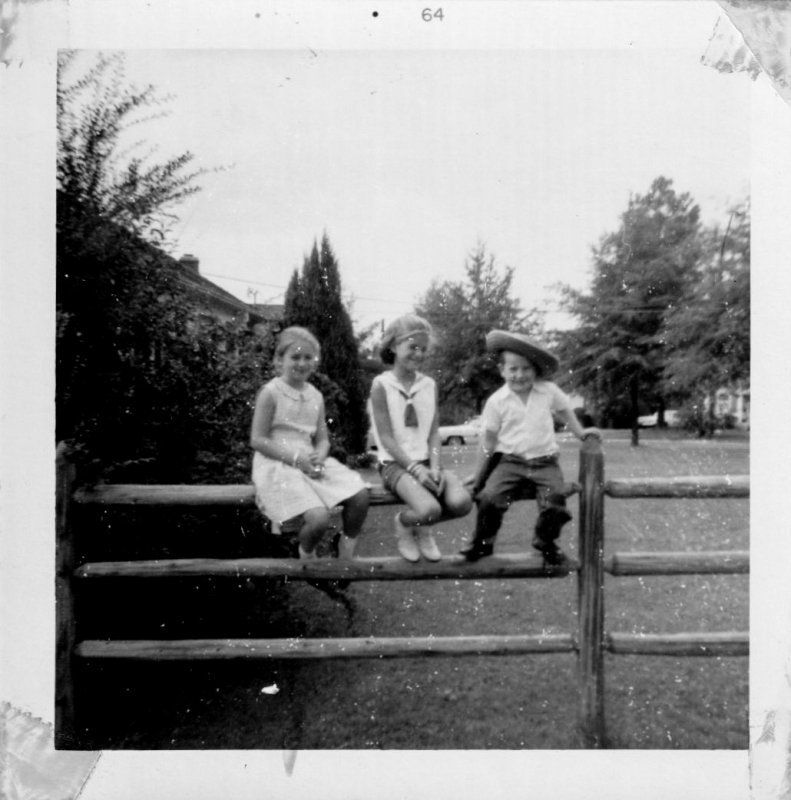 Three Kids on the Rail Fence
