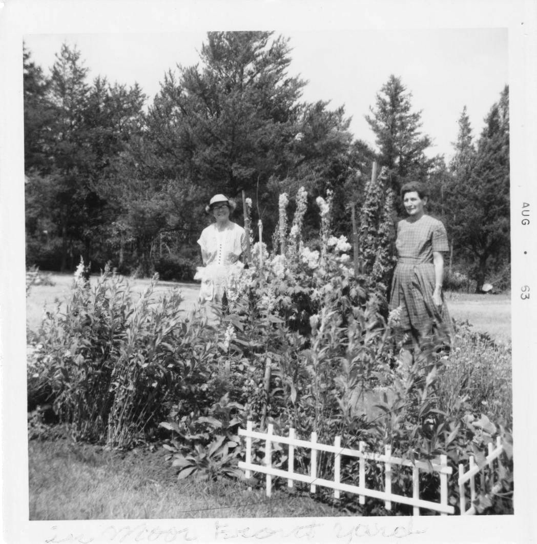 In the Moors' Front Yard