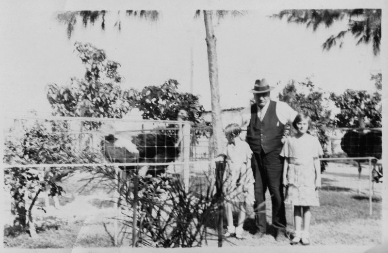 At the Ostrich Farm