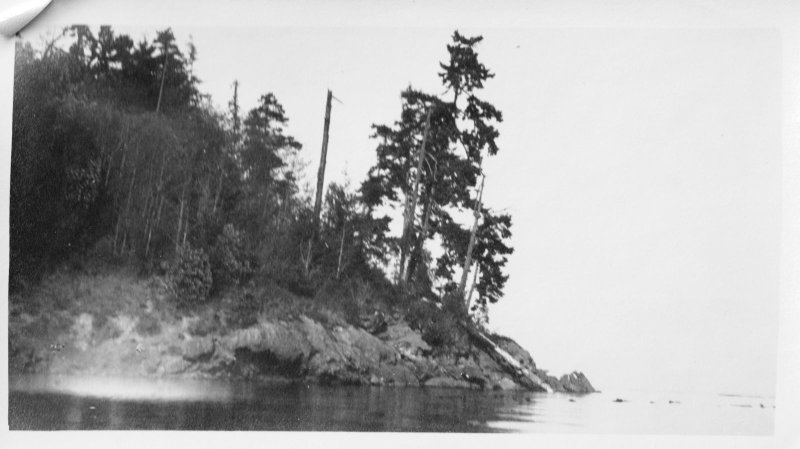 The Wooded Point