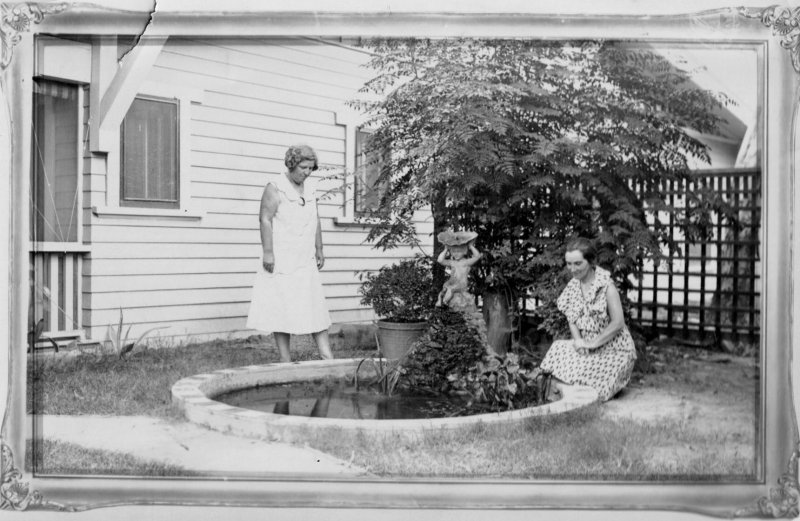 The Lily Pond